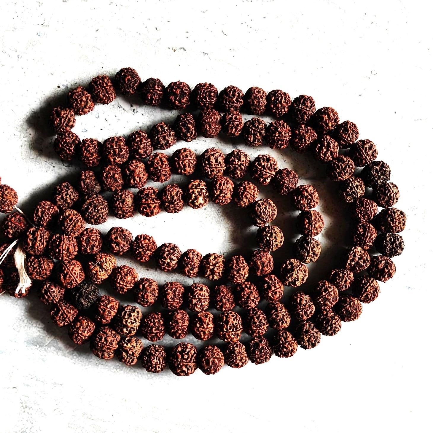 5 Mukhi Rudraksha Mala 108 +1, Rudraksha Natural Seed for Positive Vibes, Length 30 Inches Approx
